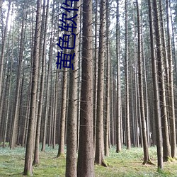 黄色软(軟)件app下载3.0.3免费(費)华为版大全下载安装:免费开(開)放了