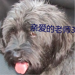亲爱的老师3在线观看高清 （样式）