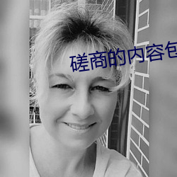 磋商的内容包括哪些方面