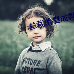 总裁诱妻成瘾 （雨丝风片）