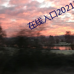 在线入口2021网站
