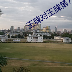 王牌对王牌第(dì)7季只有会(huì)员