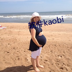 软件kaobi （潢池弄兵）