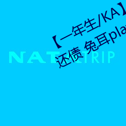 【一年生/KA】Pay your debt 賣身還債 兔耳play(一萬字咳