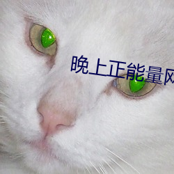晚上正能量网(網)址2020