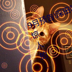 9月(月)预告!深(深)田(田)咏美(美)电影(影)发行量达到(到)了惊(驚)人的……