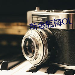 新金瓶梅(méi)OL