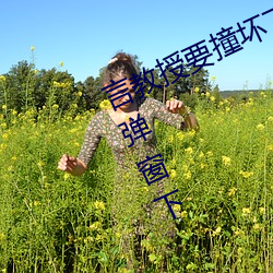 言教授要撞壞了在線全文免費閱讀無彈窗下