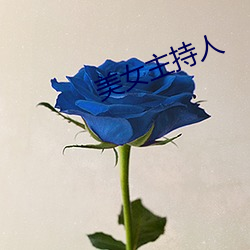 美女主持人