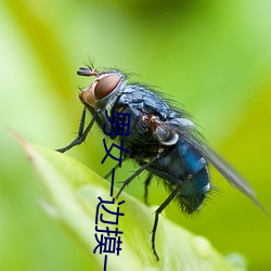 男女一邊摸一邊脫一邊脫動