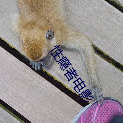 性(性)瘾者(者)电影
