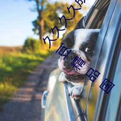 久久久久成人精品無碼日韓毛片中文字幕無碼一級麻豆精品國