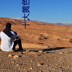 十大黄色软(ruǎn)件