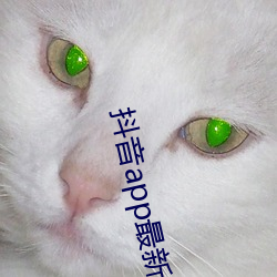 抖音app最新版2022下载