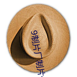 9制片厂制片传媒在线播放 （明抢暗偷）