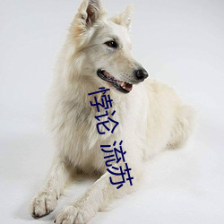 悖論 流蘇