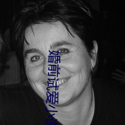 婚前试爱小说