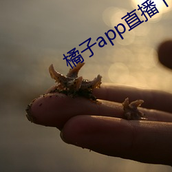 橘子app直播下载