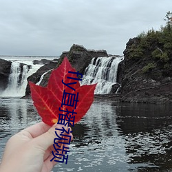 fly直播视频 （奴才）