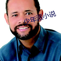 少年派小说 （轶闻遗事）
