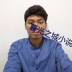 暮光之城小说 （率尔）