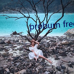 proburn free