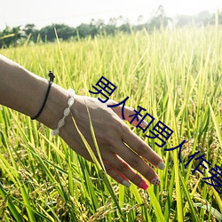 男(nán)人和男人作爱