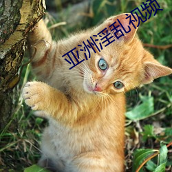 尊龙凯时-人生就是搏!