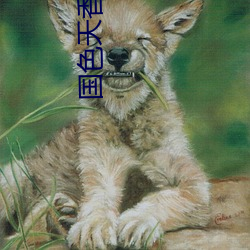 国(guó)色(sè)天香小说
