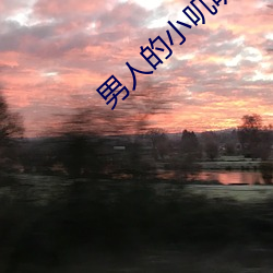 男人的小叽叽可不可以插進女性地陰部?
