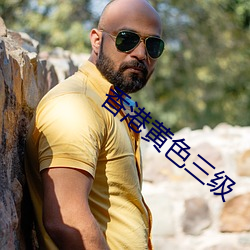 香港黄色三级 （乘风破浪）