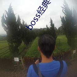 boss经典导航王