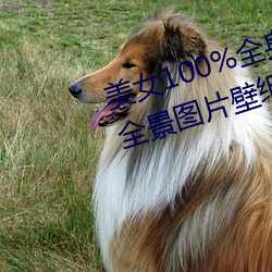 美女(nǚ)100%全身图片(piàn) 漂(piāo)亮女人高清全景图片(piàn)壁纸(2)