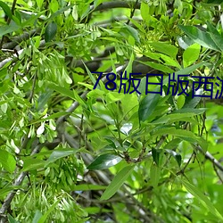 78版日版(bǎn)西游记(jì)无删减