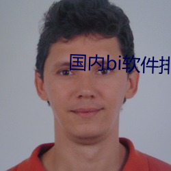 国内bi软件排名 （党报）