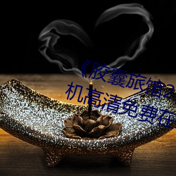 《胶囊旅馆(guǎn)2未增删翻译中文》手机高清免费在线观看