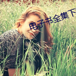电子书全集下载 （战船）