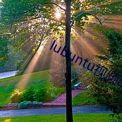 lubuntu视频app最新地址
