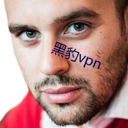 黑(黑)豹vpn