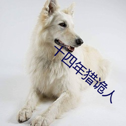 十四年猎诡人(rén)