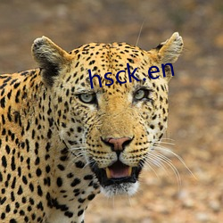 hsck.en ʦ