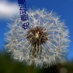 尊龙凯时-人生就是搏!