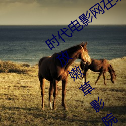 时(shí)代电影网在线(xiàn)女人本(běn)色高清视频在(zài)线播放嫩草(cǎo)影院欧美入口