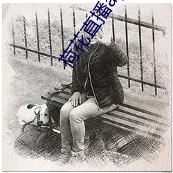 荷花(花)直(直)播(播)app下载苹果(果)