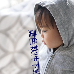 黄色软件下载3.30华为v1.0.3305 （扼要）