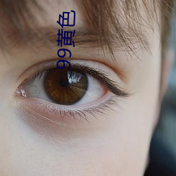 99黄色 秋天）