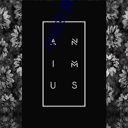 小仙女直播app2s