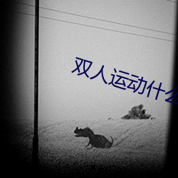 双人运动什么最刺激 （还乡昼锦）
