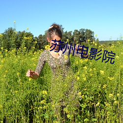 苏州电影院