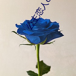 公(公)主(主)恋(戀)人(人)ova